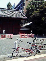 147b8d54.jpg