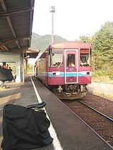 49181812.jpg