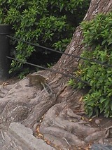 647c5441.jpg