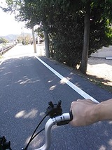 96607335.jpg