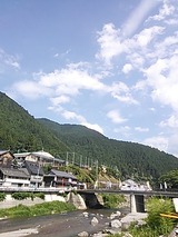 a61aea85.jpg