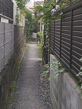 b9e55c93.jpg