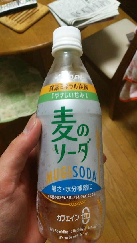 DSC_0227 - コピー