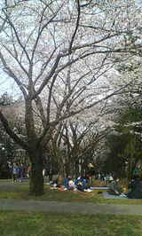 hanami