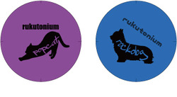 31mm_sample