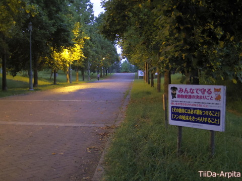 day959_01