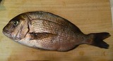 tai