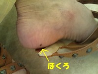 p20120510-105634