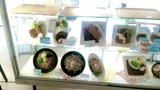 IMG_20170807_054448