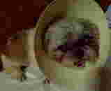 0d8264f5.jpg