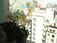 15a3f2b9.jpg