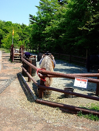 ふれあい広場02