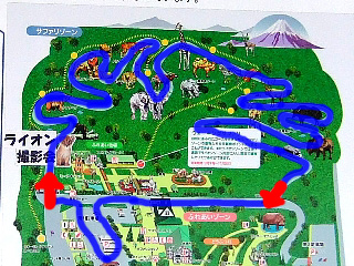 ジャングルバス00バス04
