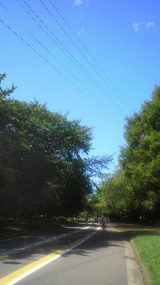 6ba00e58.jpg