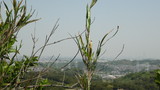 DSC00023
