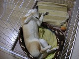 無防備