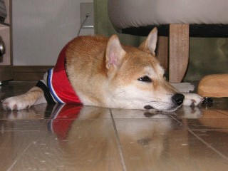 だらけ顔