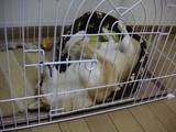 変な寝姿