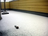 ベランダに積もった雪