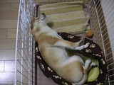 のび〜っ