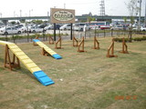 DSCN1280