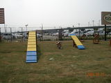 DSCN1275