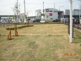 DSCN1281