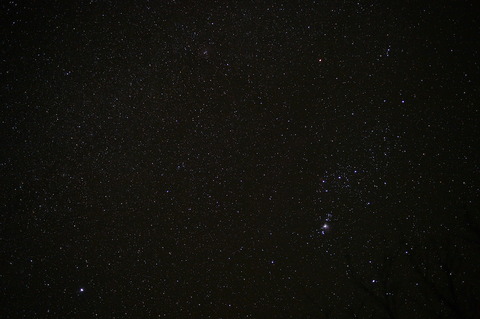 DSC_6918