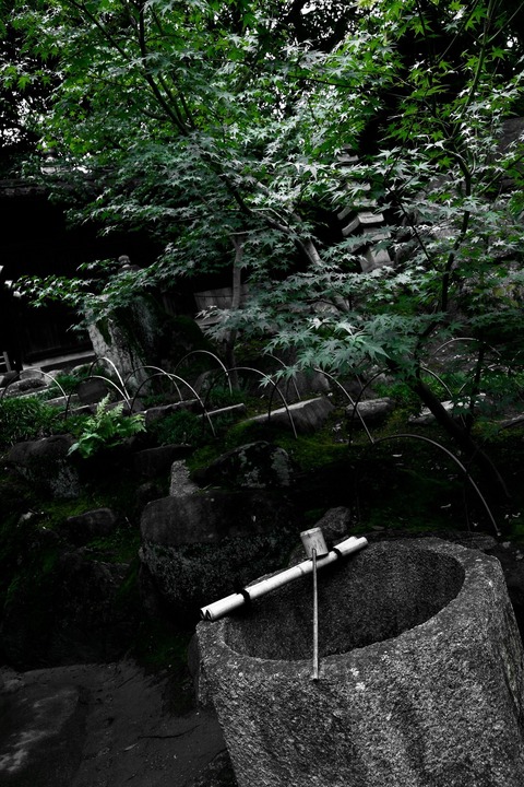 DAY3_181001_0026