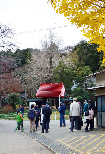 2018-12-08_002_秋のウォーク_Web