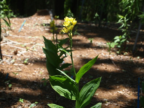 P5105121