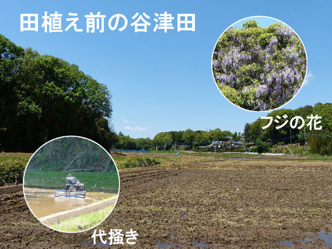 ① 130427 田植え前の結縁寺
