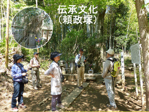 ③ 130427頼政塚 ツタウルシと組紐