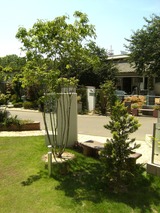 0b7b0388.jpg