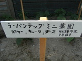 DSCF6395