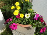 DSCF6389
