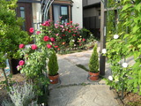 DSCF6370