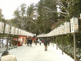 DSCF6926
