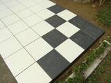 DSCF6869