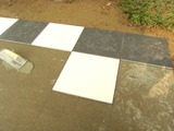 DSCF6867