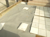 DSCF7383