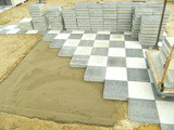 DSCF7228