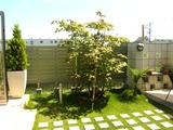 df5756b0.jpg