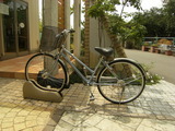 DSCF7380