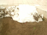 DSCF9088