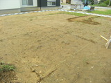 DSCF7216