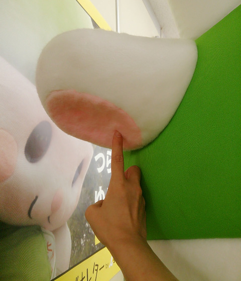 BeautyPlus_20140805222121_save