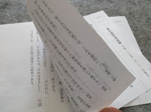 平成29年 登用・両面
