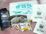 4397ab8b.jpg