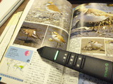 8421650a.jpg